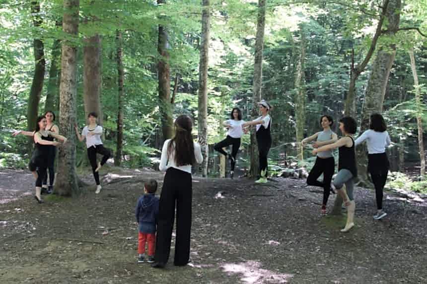 Belgrad Ormanı 2017