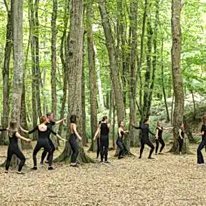 Belgrad Ormanı 2019