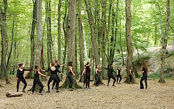 Belgrad Ormanı 2019