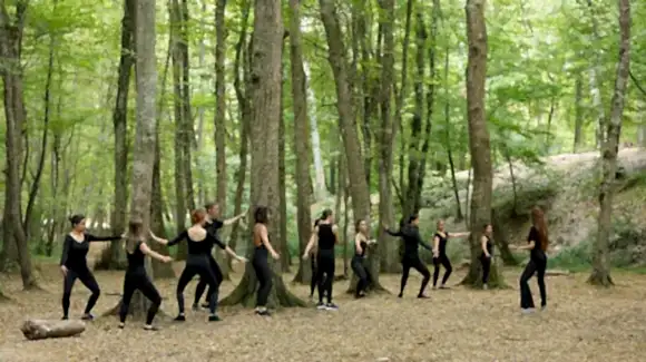 Belgrad Ormanı 2019