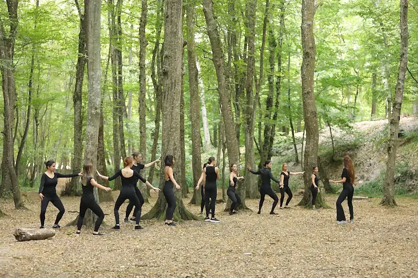 Belgrad Ormanı 2019