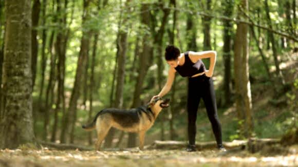 Belgrad Ormanı 2019