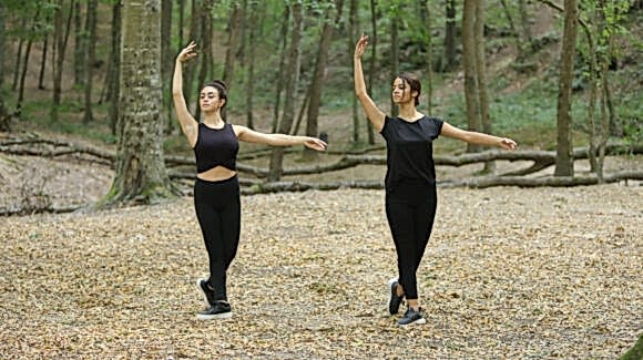 Belgrad Ormanı 2019