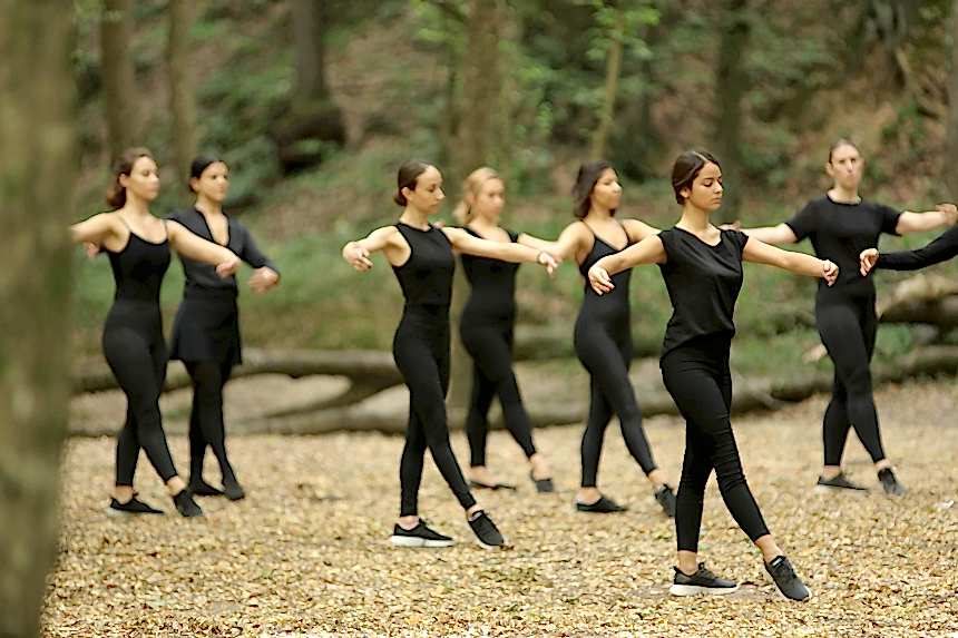 Belgrad Ormanı 2019