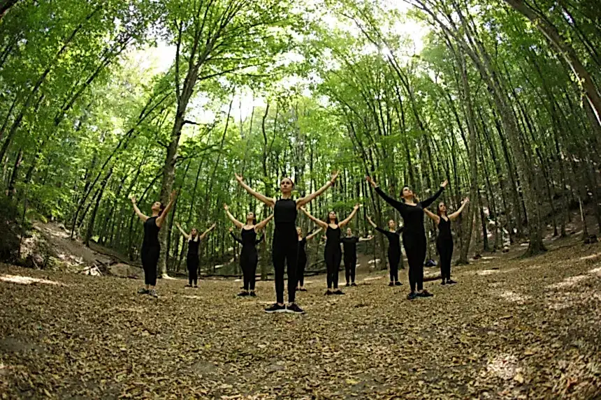 Belgrad Ormanı 2019