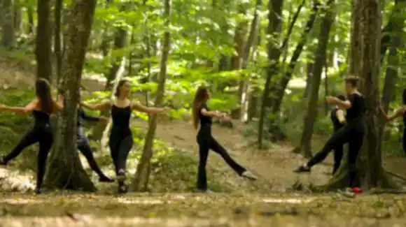 Belgrad Ormanı 2019