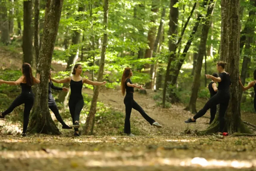 Belgrad Ormanı 2019