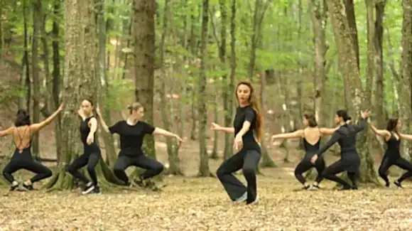 Belgrad Ormanı 2019