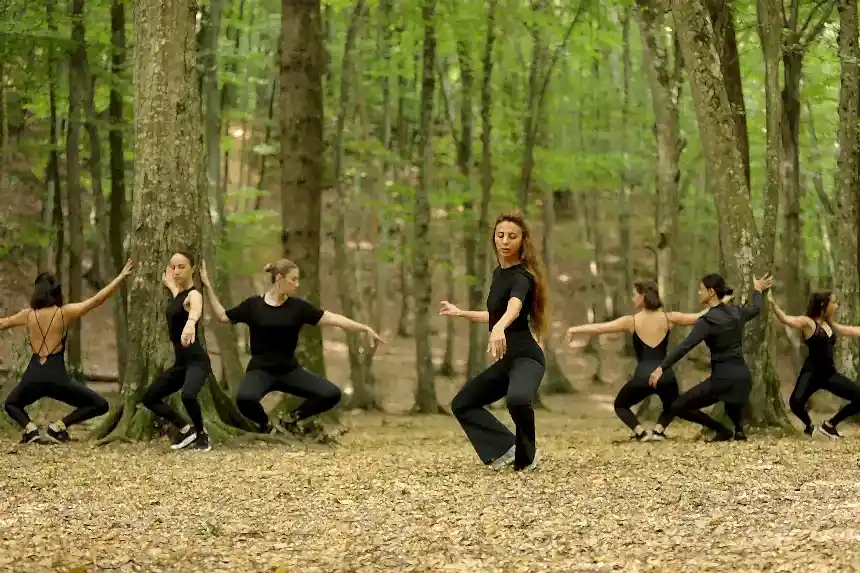 Belgrad Ormanı 2019