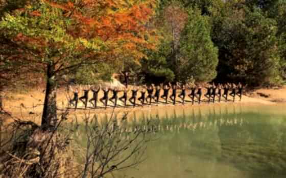 Atatürk Arboretumu 2019