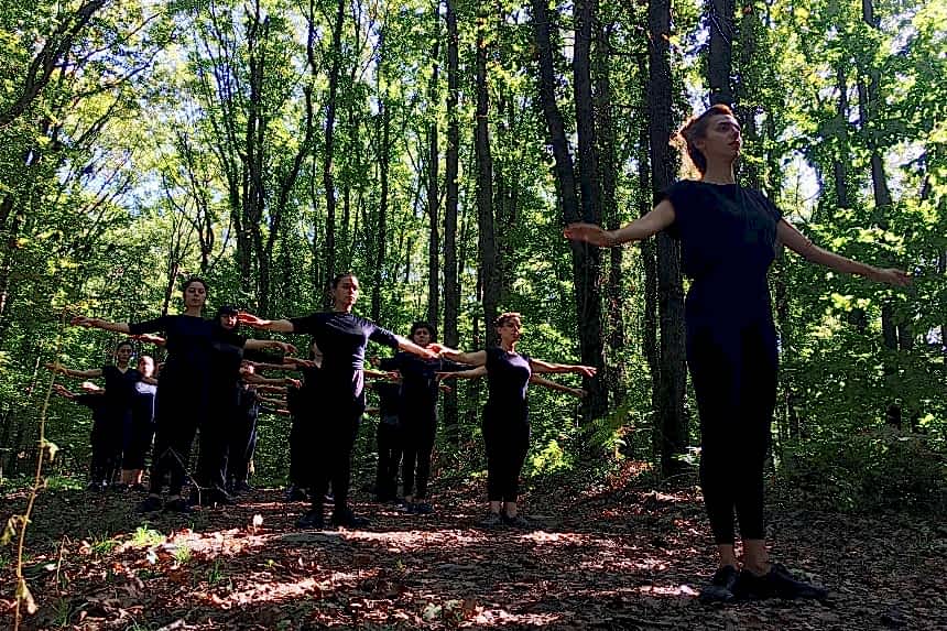 Atatürk Arboretumu 2019