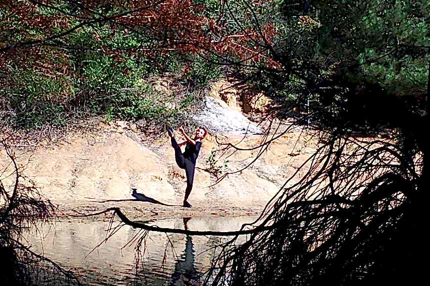 Atatürk Arboretumu 2019