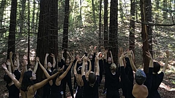 Atatürk Arboretumu 2019