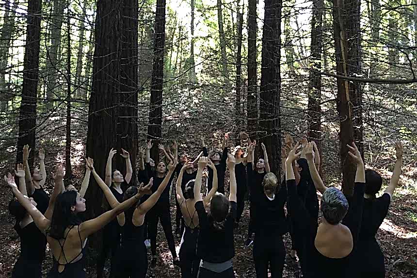 Atatürk Arboretumu 2019